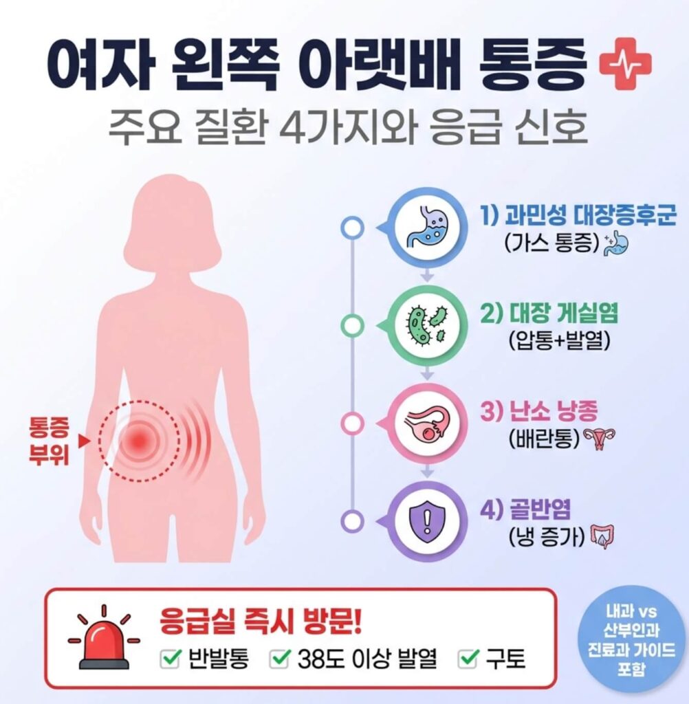 여자 왼쪽 아랫배 통증 의심 질환 4가지 및 응급 신호 총정리