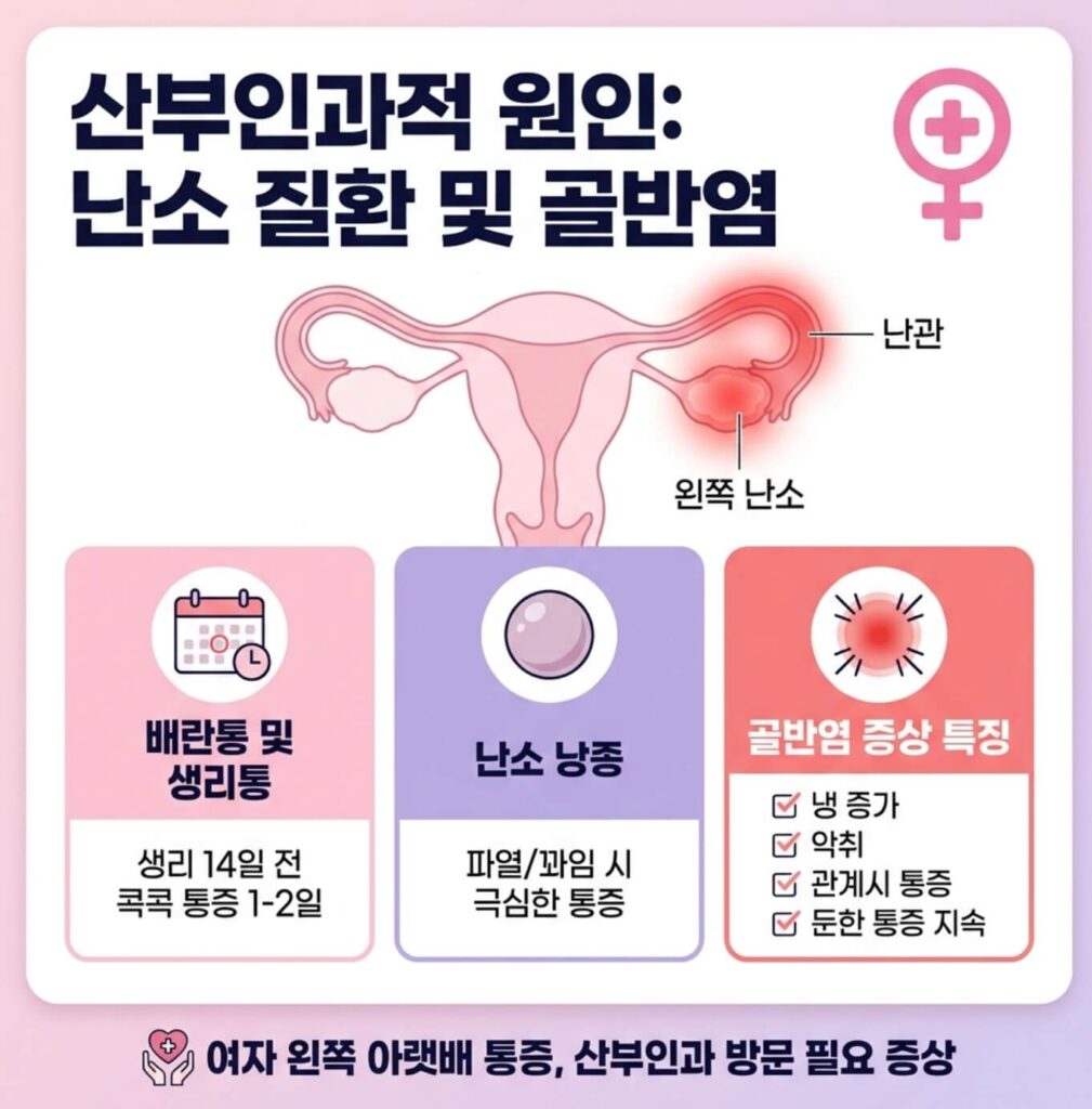 여자 왼쪽 아랫배 통증 의심 질환 4가지 및 응급 신호 총정리