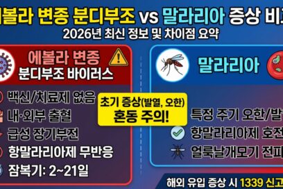 에볼라 변종 분디부조 바이러스 증상과 말라리아 차이점 비교