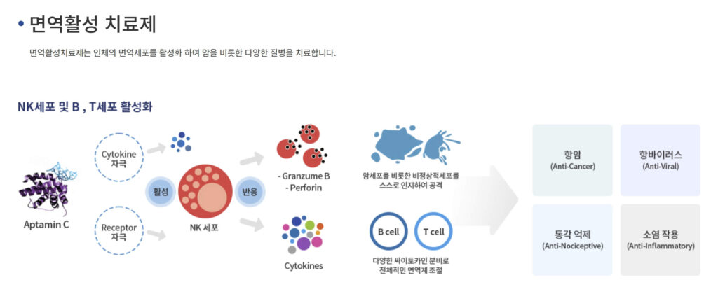 탈모예방 영양제 순위 바꾼 압타민C 효능과 모발이식 전문가가 밝힌 결정적 차이 3가지