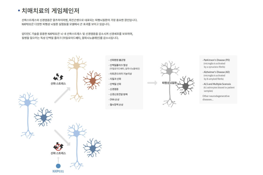 탈모예방 영양제 순위 바꾼 압타민C 효능과 모발이식 전문가가 밝힌 결정적 차이 3가지