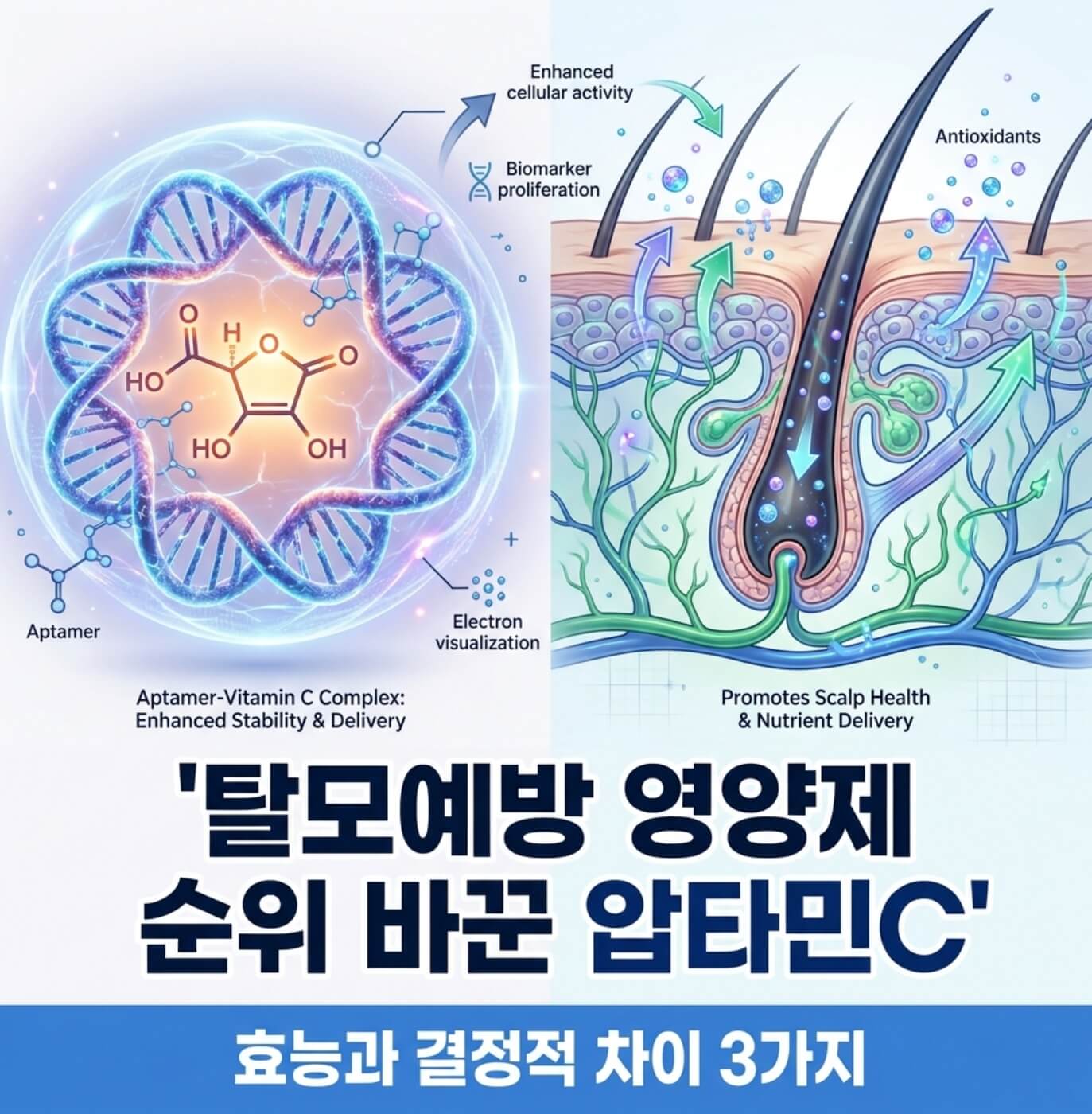 탈모예방 영양제