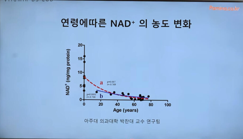 비타민B3 임산부 기형아 예방