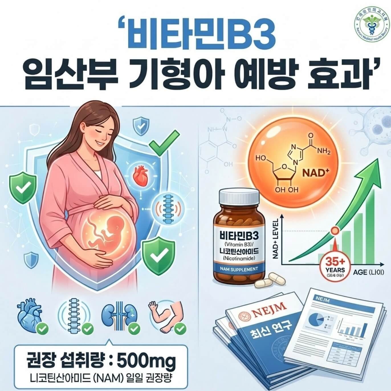 비타민B3 임산부 기형아 예방