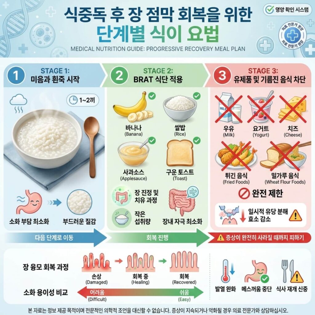 살모넬라 식중독 설사 멈추는 법