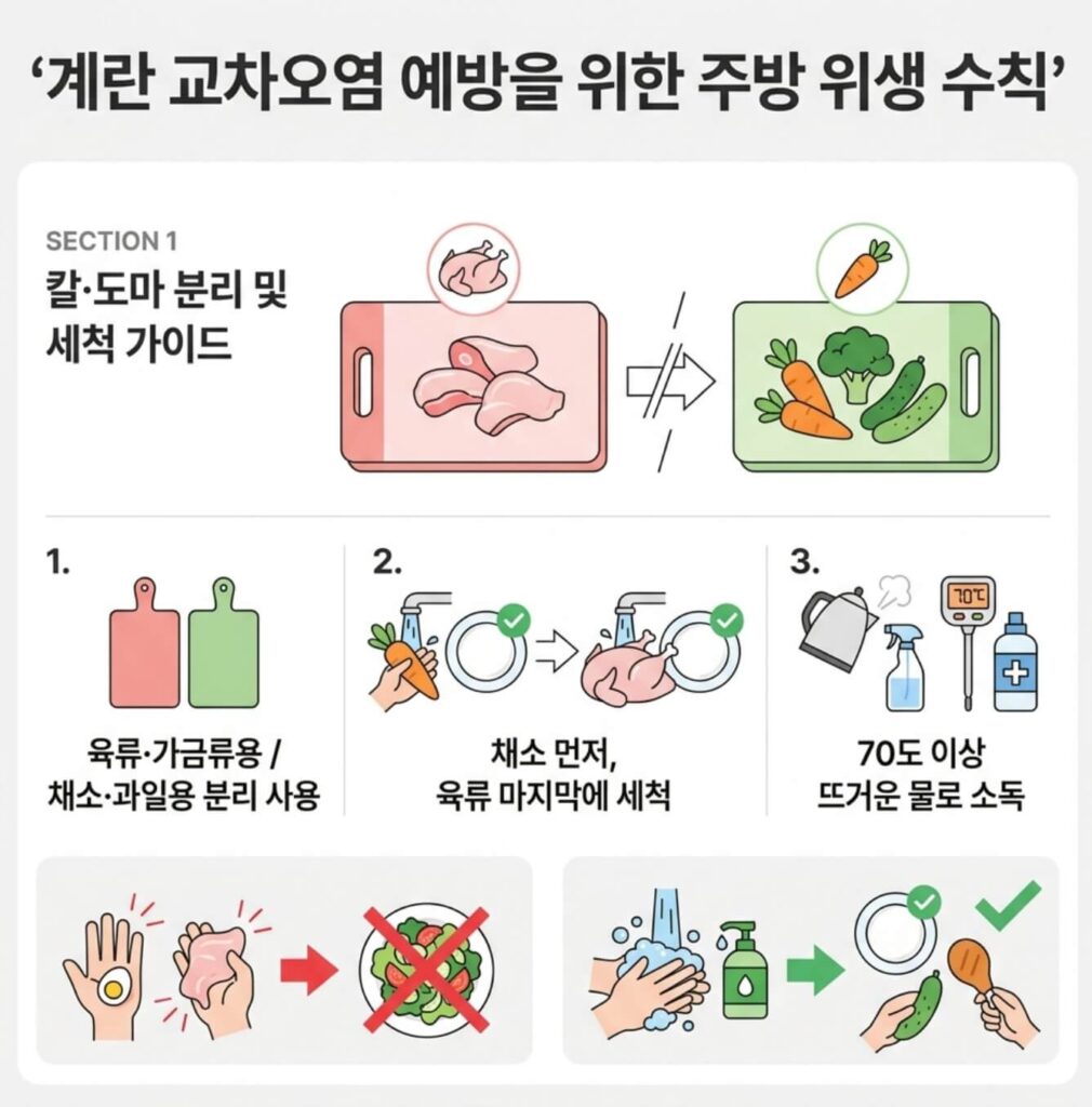 살모넬라 식중독 원인 음식