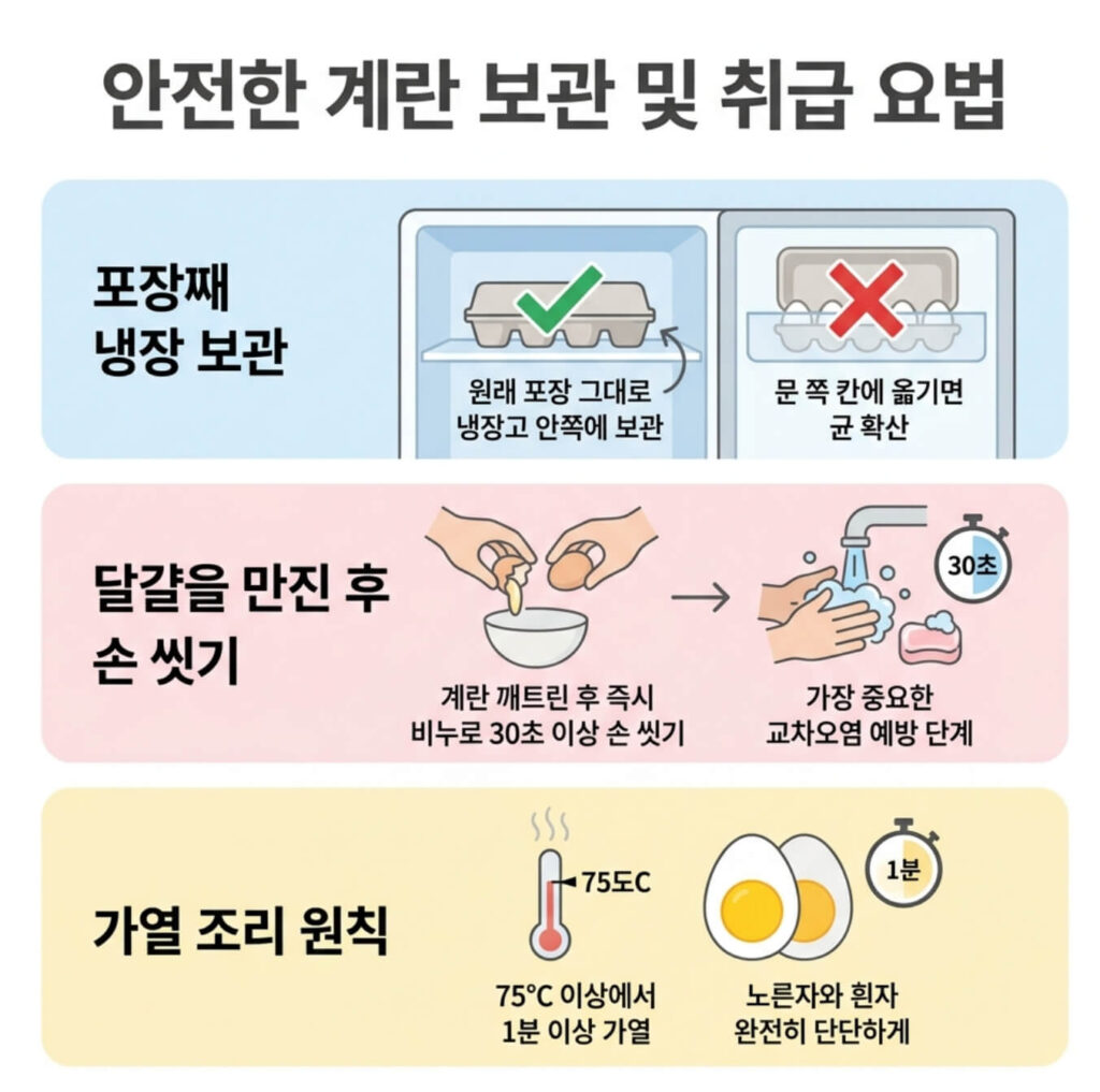 살모넬라 식중독 원인 음식