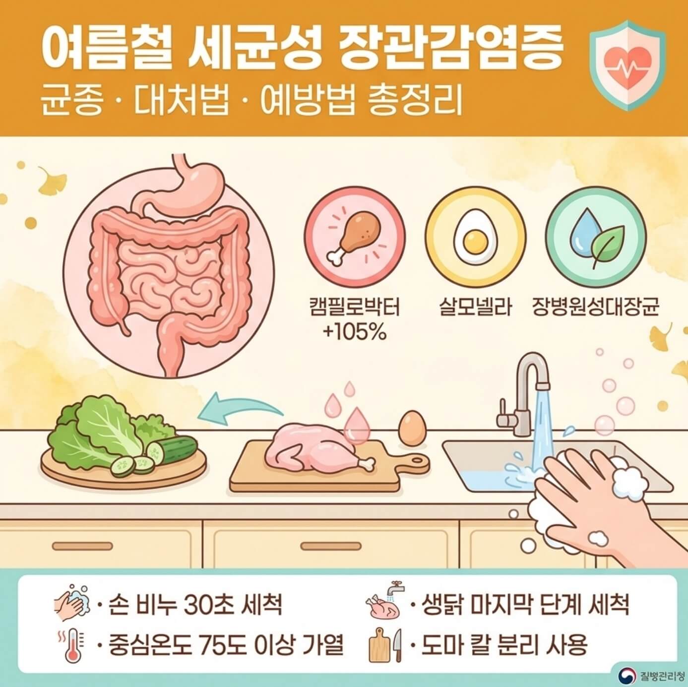 여름철 세균성 장관감염증 균종, 대처법, 예방법
