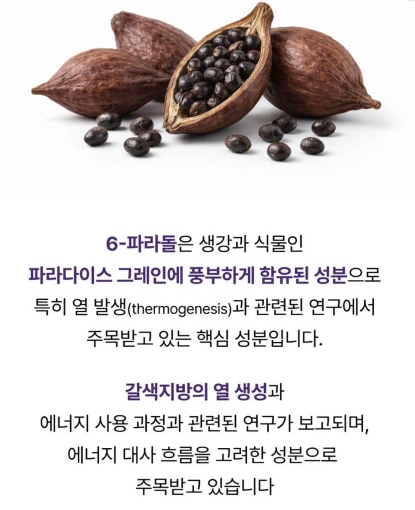 뉴트리케이 파라다이스 그레인 버닝컷