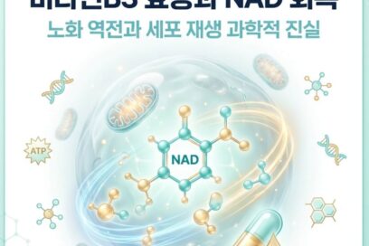 비타민B3 효능과 NAD 수치 회복법: 노화 역전과 세포 재생 과학적 진실