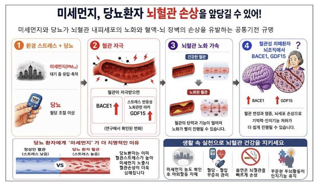 당뇨 환자 초미세먼지 노출