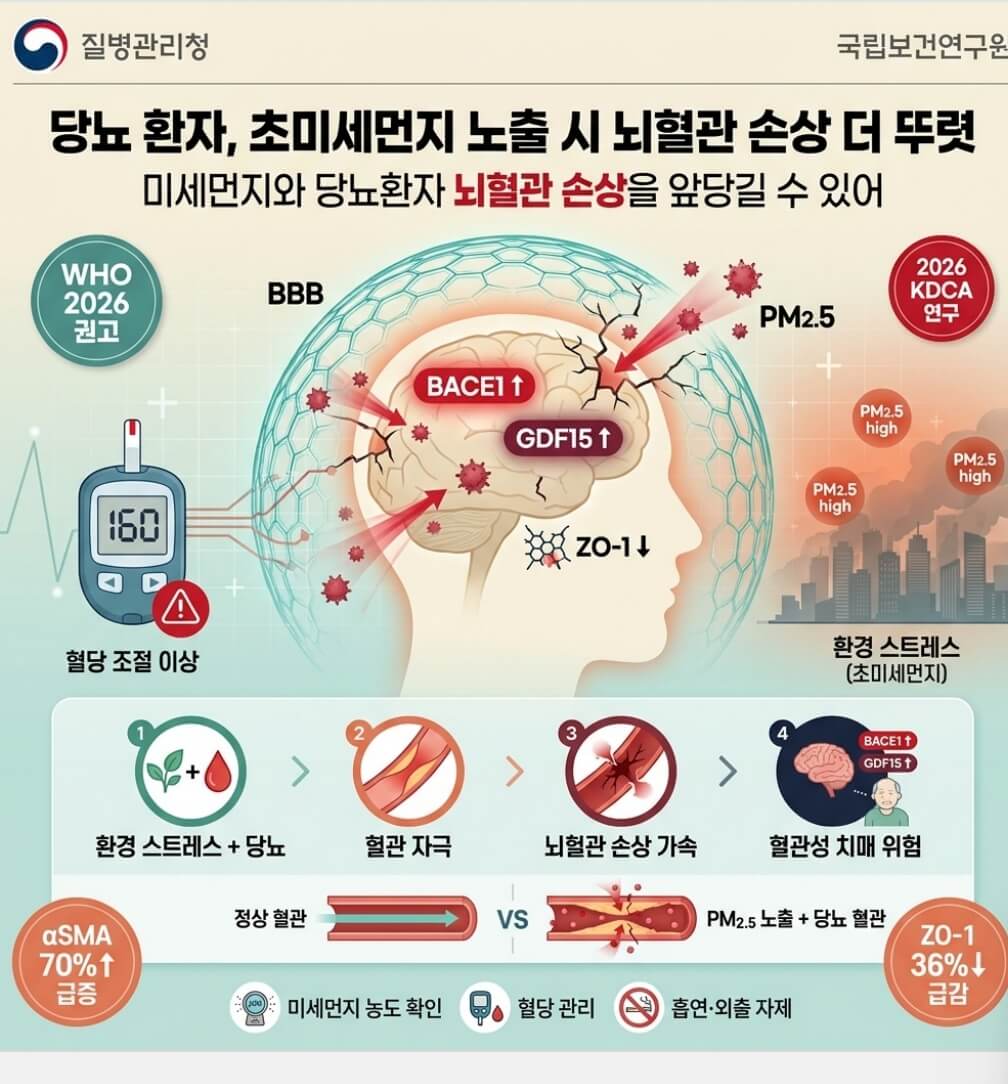 당뇨 환자 초미세먼지 노출