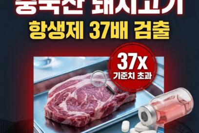 중국산 돼지고기 항생제 37배 검출 충격, 국내 유입 경로와 안전 대처법