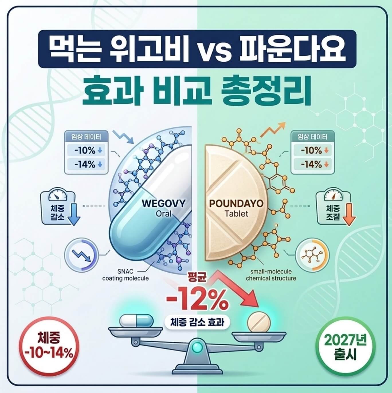 먹는 위고비 파운다요