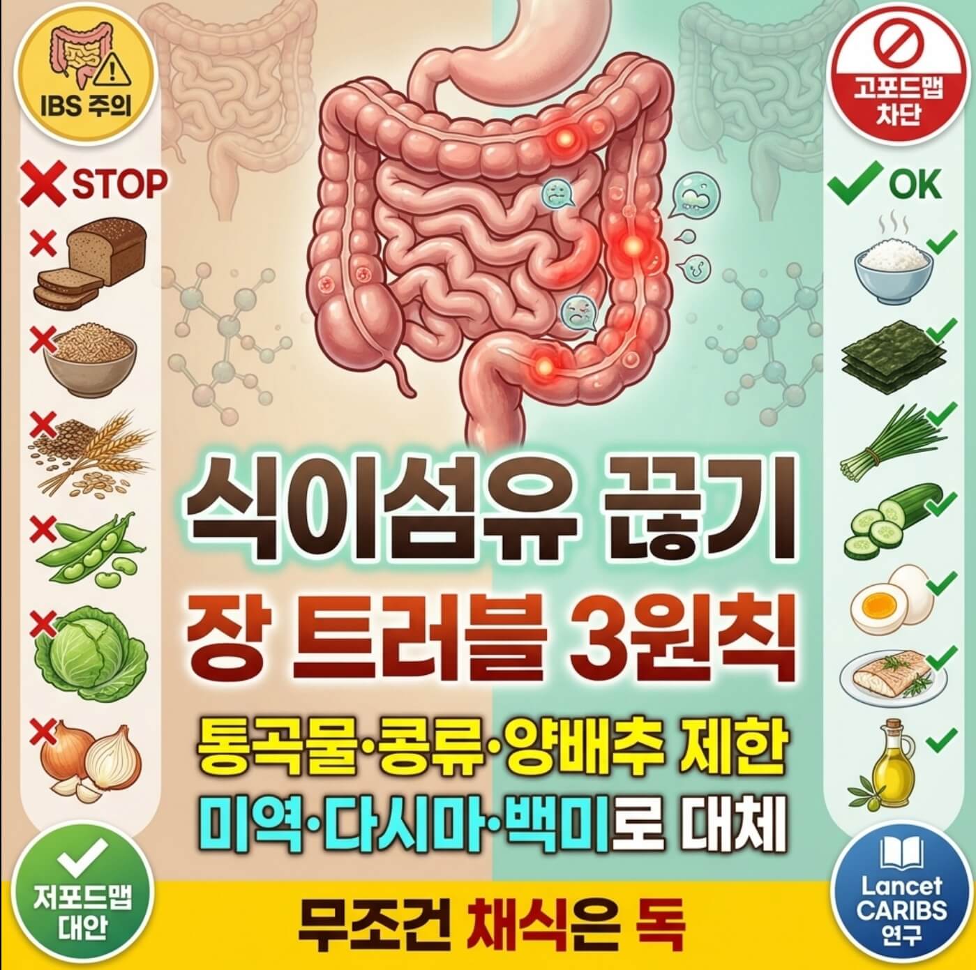 과민성대장증후군 식이섬유
