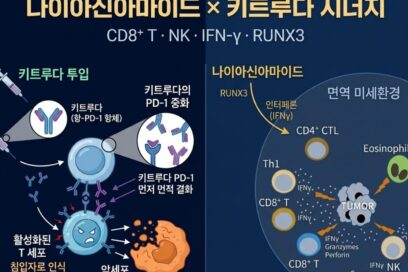 비타민B3 면역항암 시너지: 암세포 표적 사멸과 면역관문억제제 반응률 높이는 법