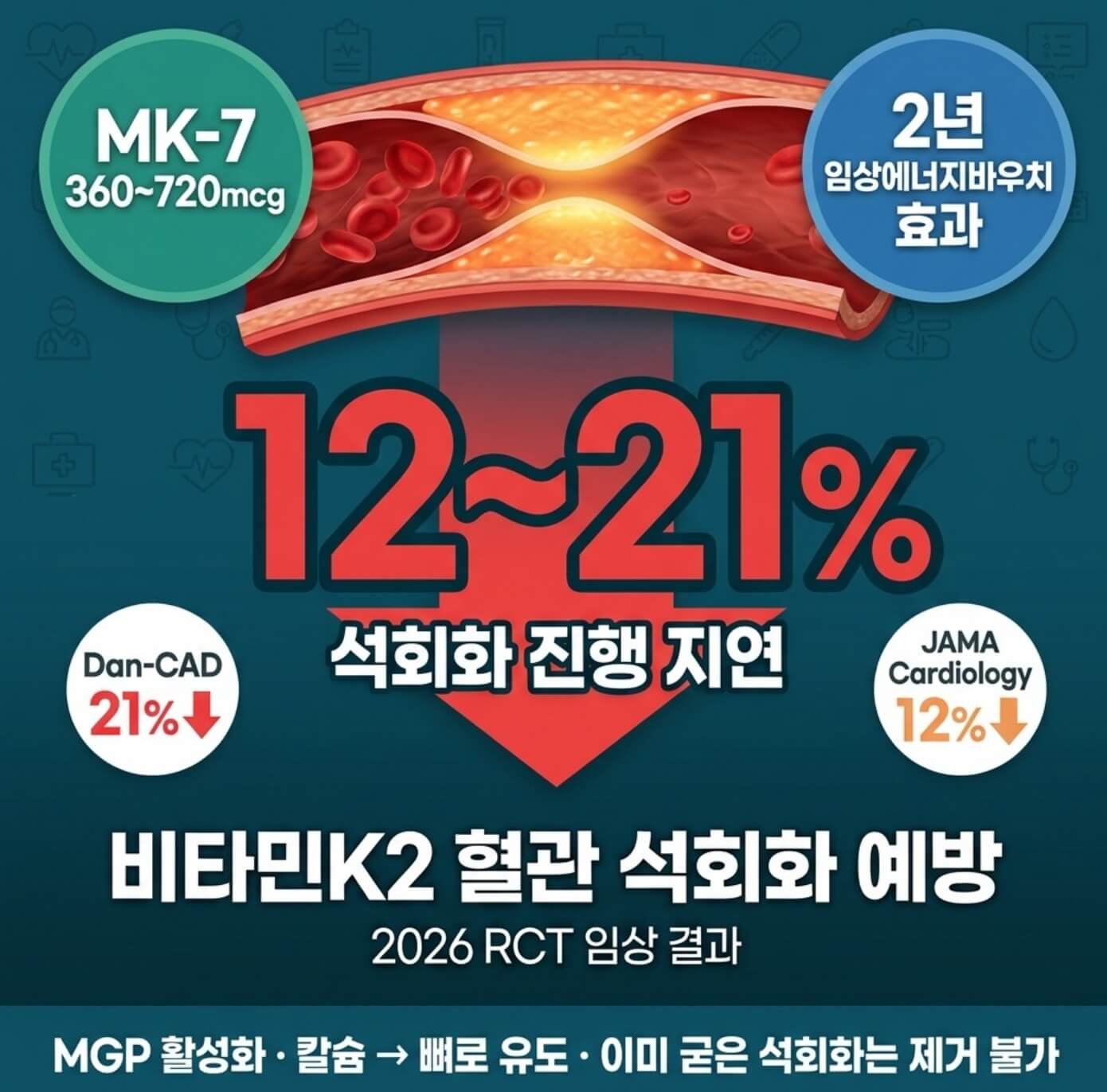 혈관 석회화 예방 영양제 비타민K2
