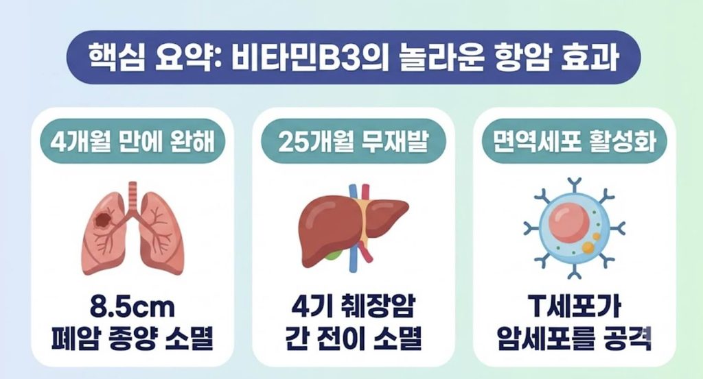 비타민B3 암 치료 효과