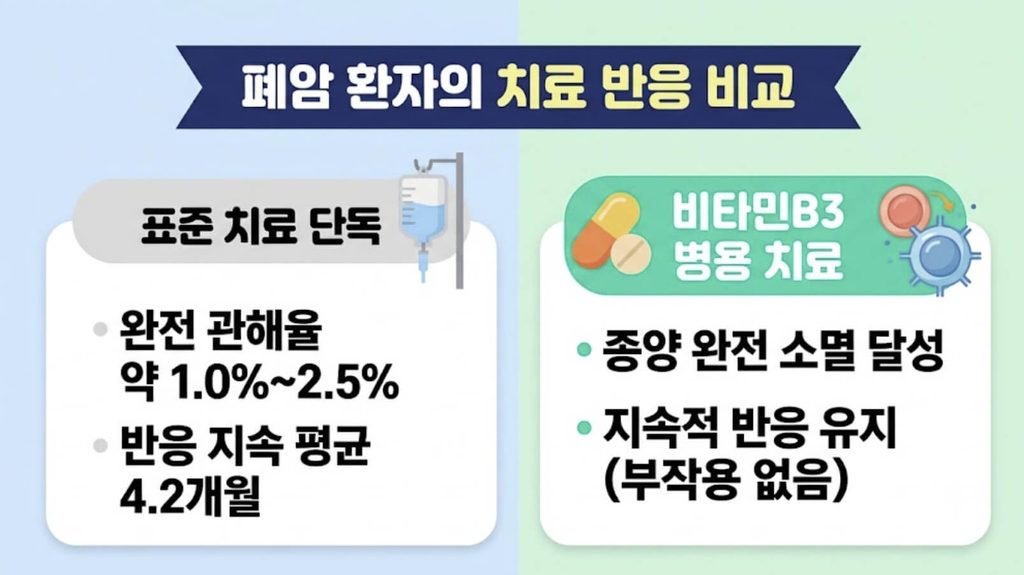 비타민B3 암 치료 효과